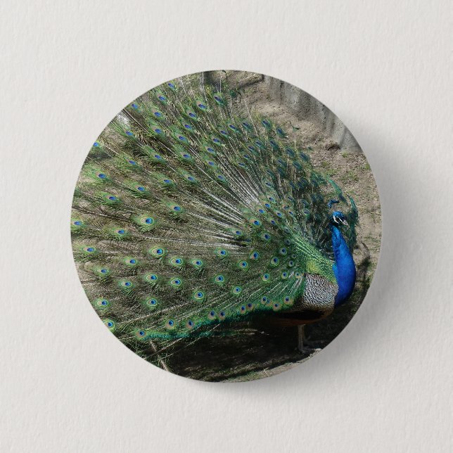 Chapa Redonda De 5 Cm Peacock (Anverso)