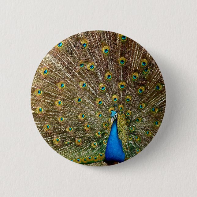 Chapa Redonda De 5 Cm Peacock Tail Feathers (Anverso)