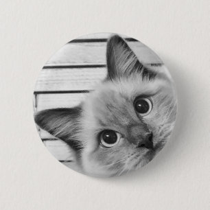 Chapa Redonda De 5 Cm Peek-a-boo Ragdoll