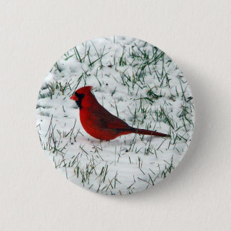 Chapa Redonda De 5 Cm Pegatina redondo clásico del cardenal el día de Sa