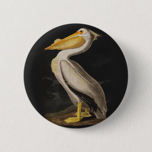 Chapa Redonda De 5 Cm Pelícano Blanco de Audubon Grabado Vintage