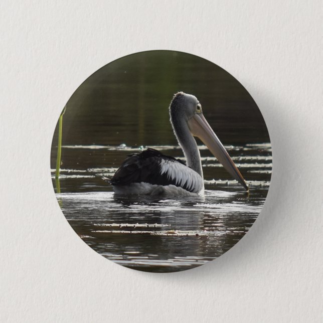 CHAPA REDONDA DE 5 CM PELÍCANO QUEENSLAND RURAL AUSTRALIA (Anverso)