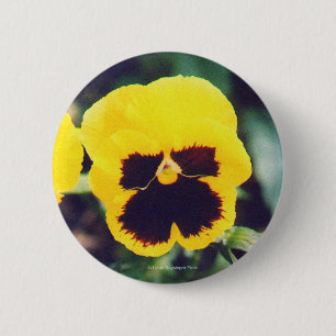 Chapa Redonda De 5 Cm Pensamiento amarillo