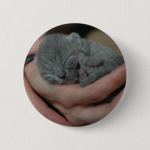Chapa Redonda De 5 Cm Pequeño bebé azul gatito