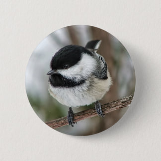 Chapa Redonda De 5 Cm Pequeño Chickadee lindo
