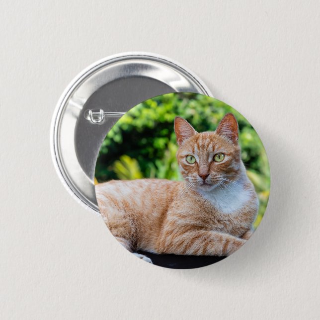 Chapa Redonda De 5 Cm Pequeño gatito dulce (Anverso y reverso)
