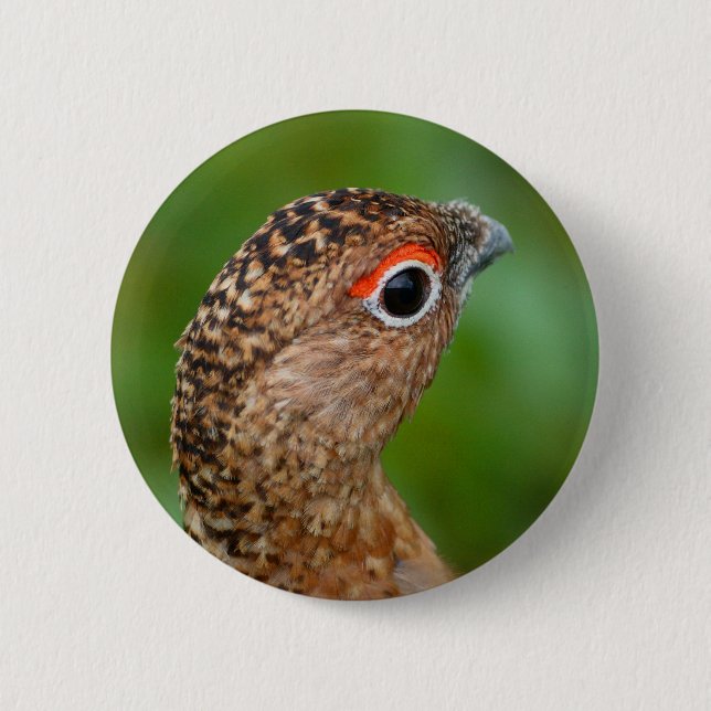 Chapa Redonda De 5 Cm perdiz nival (Anverso)