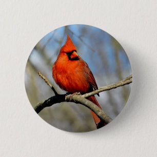 Chapa Redonda De 5 Cm Perfil de Cardenal Rojo