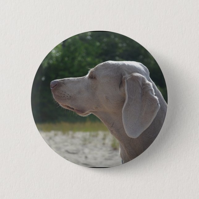 Chapa Redonda De 5 Cm Perfil dulce del perro de Weimaraner (Anverso)