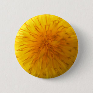 Chapa Redonda De 5 Cm Perno de Dandeion