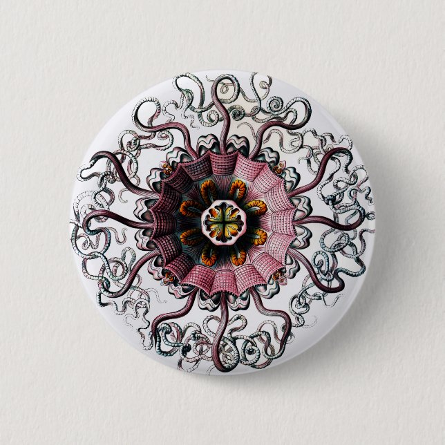 Chapa Redonda De 5 Cm Peromedusae de Ernst Haeckel (Anverso)