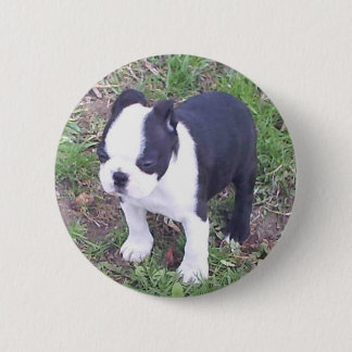 Chapa Redonda De 5 Cm Perrito de Boston Terrier