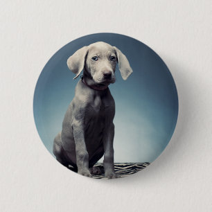 Chapa Redonda De 5 Cm Perrito de Weimaraner