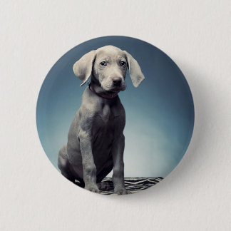 Chapa Redonda De 5 Cm Perrito de Weimaraner