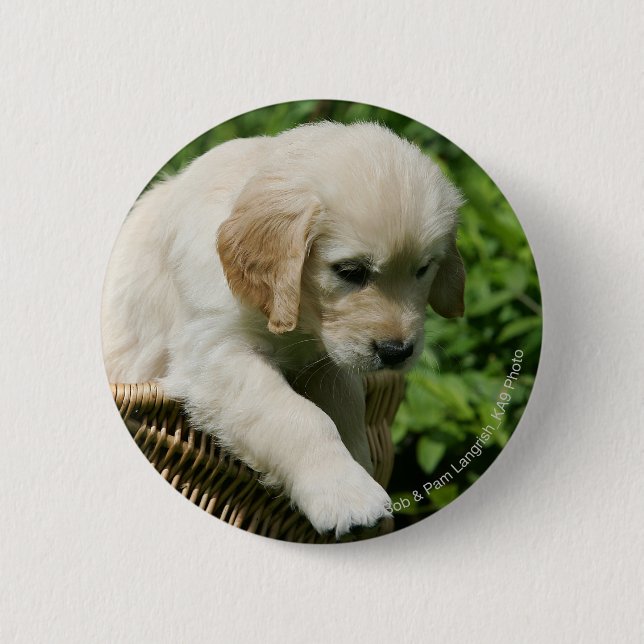 Chapa Redonda De 5 Cm Perrito del golden retriever en cesta (Anverso)
