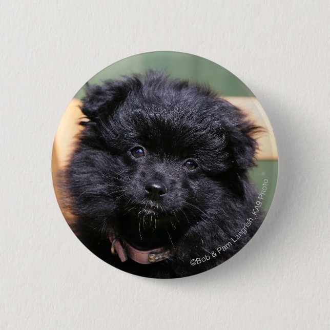 Chapa Redonda De 5 Cm Perrito negro de Pomeranian (Anverso)