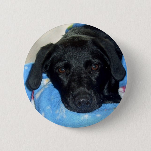 Chapa Redonda De 5 Cm Perrito negro del laboratorio (Anverso)