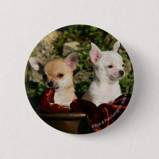 Chapa Redonda De 5 Cm Perritos de la chihuahua