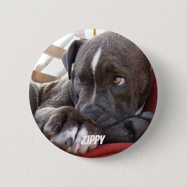 Chapa Redonda De 5 Cm Perritos Editable de Pitbull del bebé (Anverso)