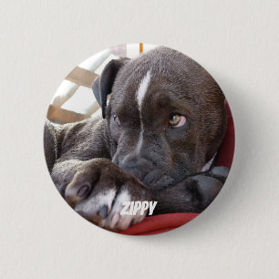 Chapa Redonda De 5 Cm Perritos Editable de Pitbull del bebé