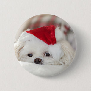 Chapa Redonda De 5 Cm Perro blanco lindo en un Gorra de Navidades rojos