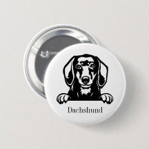 perro dachshund
