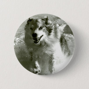 Chapa Redonda De 5 Cm Perro de pastor que corre en nieve,