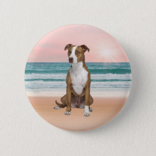 Chapa Redonda De 5 Cm Perro de Pitbull lindo sentado en la playa con pue