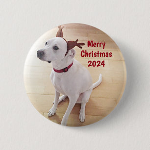 Chapa Redonda De 5 Cm Perro de reno blanco lindo foto Feliz Navidad