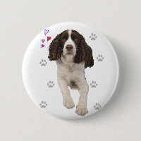 Perro español Springer inglés