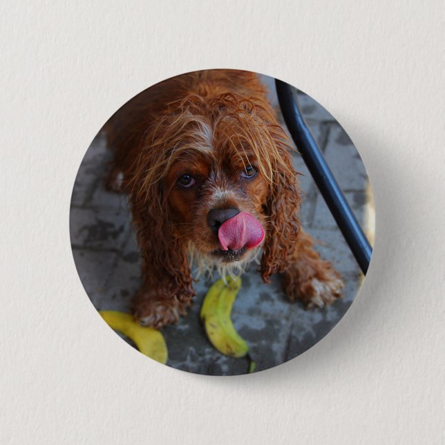 Chapa Redonda De 5 Cm Perro mojado con un plátano (Anverso)