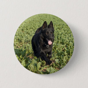 Chapa Redonda De 5 Cm Perro negro