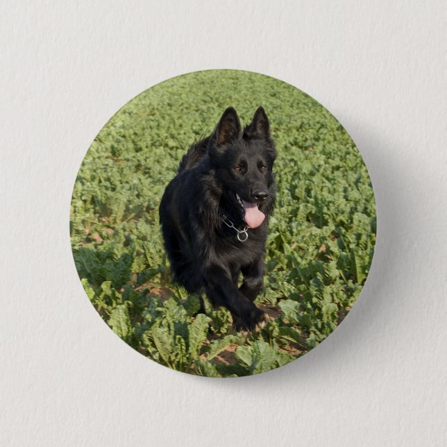 Chapa Redonda De 5 Cm Perro negro (Anverso)