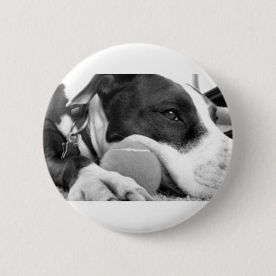 Chapa Redonda De 5 Cm perro pitbull negro blanco con pelota de aspecto l