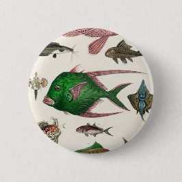 Chapa Redonda De 5 Cm pescado, océano, lindo, mar, agua, animal, pesca