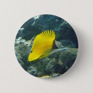 Chapa Redonda De 5 Cm Pescados largos de la mariposa de la nariz