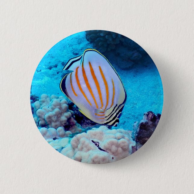 Chapa Redonda De 5 Cm Pescados tropicales (Anverso)