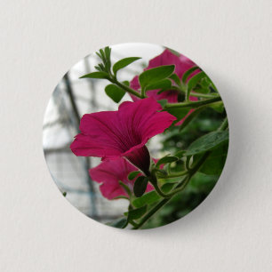 Chapa Redonda De 5 Cm Petunia