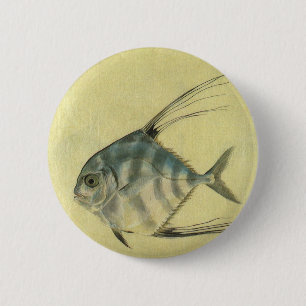 Chapa Redonda De 5 Cm Pez palometa africana, jurel aleteado vintage