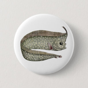 Chapa Redonda De 5 Cm Pez Regaleco Crestudo, Vida Marina Acuática Vintag