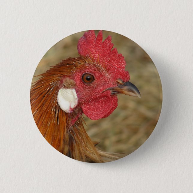 Chapa Redonda De 5 Cm Phoenix Rooster (Anverso)