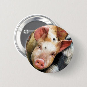 CHAPA REDONDA DE 5 CM PIG