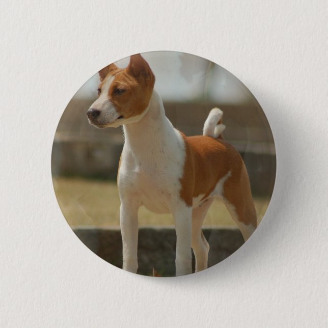 Chapa Redonda De 5 Cm Pin de Basenji (Anverso)
