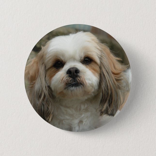 Chapa Redonda De 5 Cm Pin de Furface (Anverso)