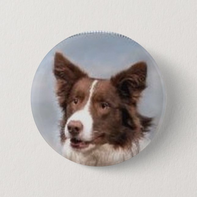 Chapa Redonda De 5 Cm Pin del border collie (Anverso)