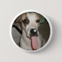 PIN DIVERTIDO DEL PERRO