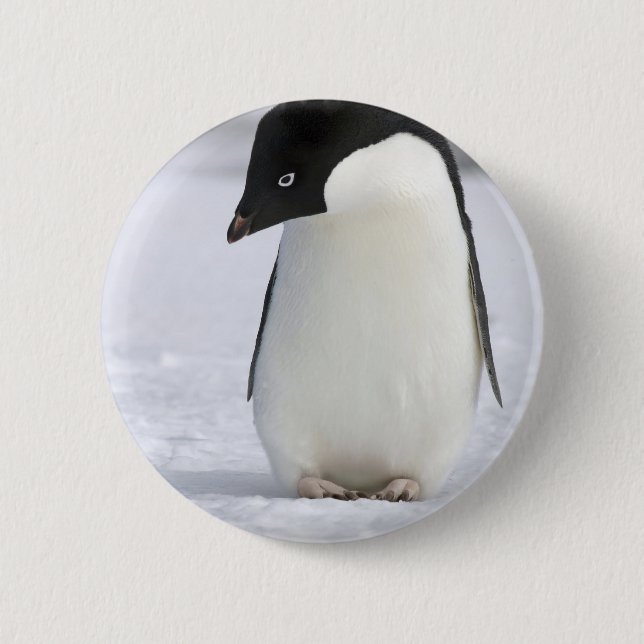 Chapa Redonda De 5 Cm Pin solo del pingüino (Anverso)