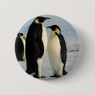 Chapa Redonda De 5 Cm pingüino-impulso-de-externo-espacio