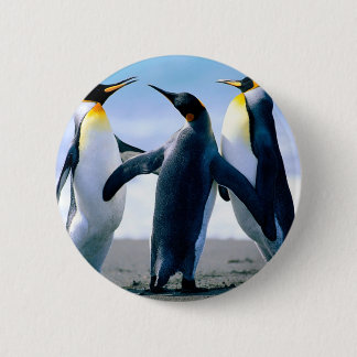 Chapa Redonda De 5 Cm Pingüinos