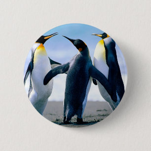 Chapa Redonda De 5 Cm Pingüinos